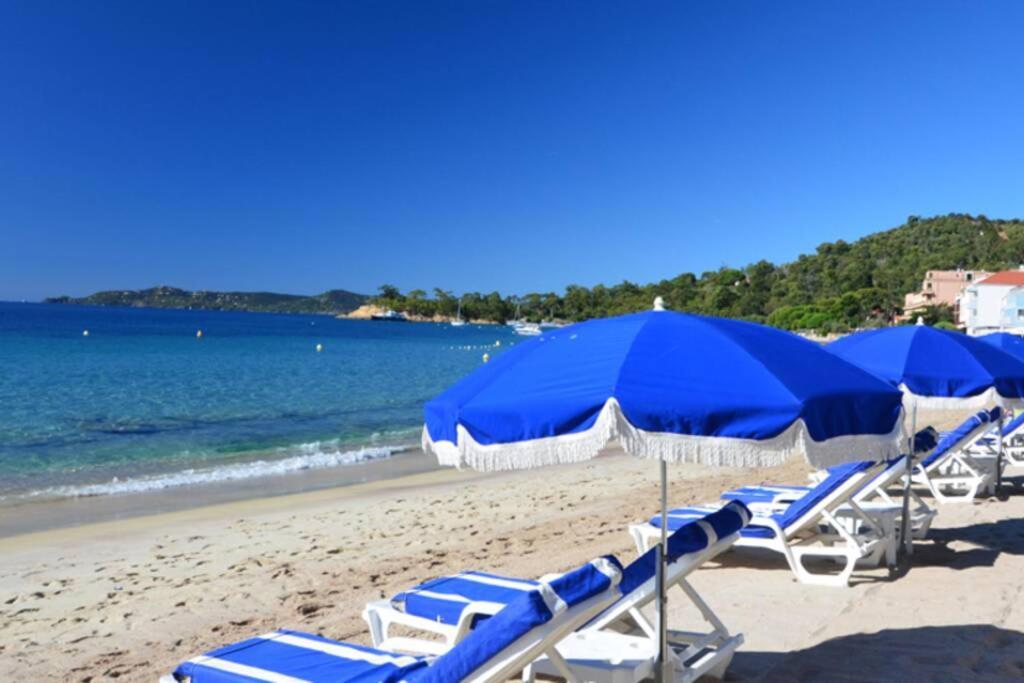 Apartment Magnifique A 50m De La De Cavaliere - Tamarindo