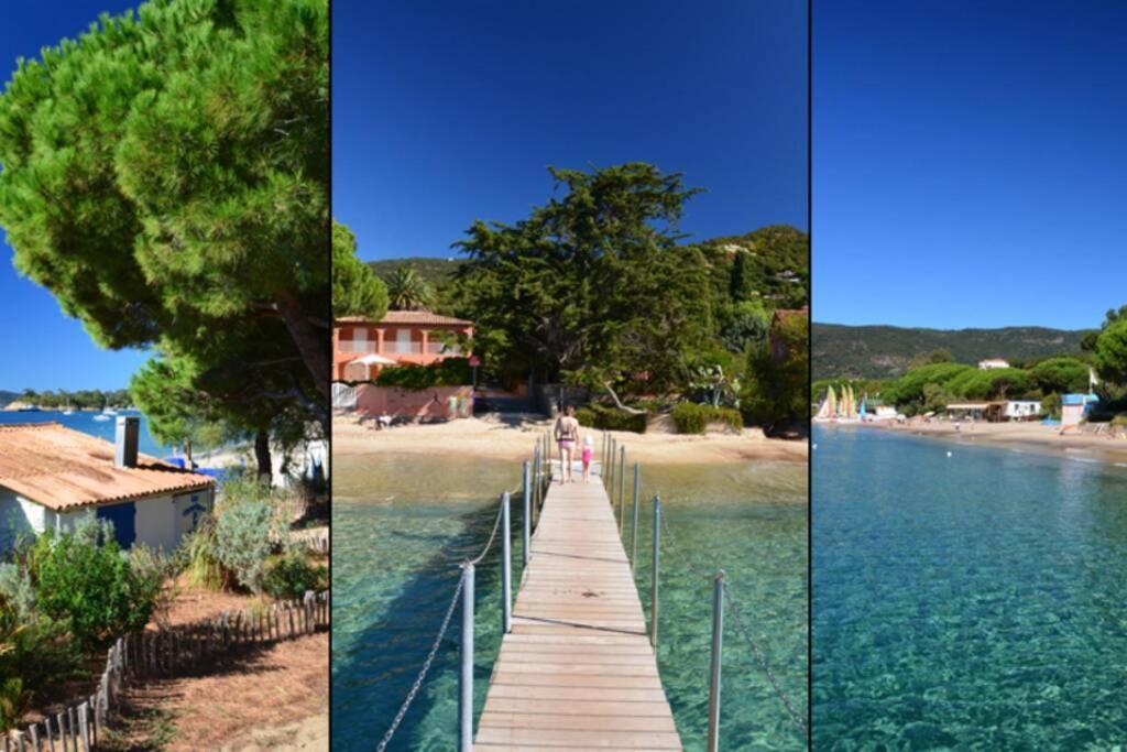 Apartment Magnifique A 50m De La De Cavaliere - Tamarindo Le Lavandou